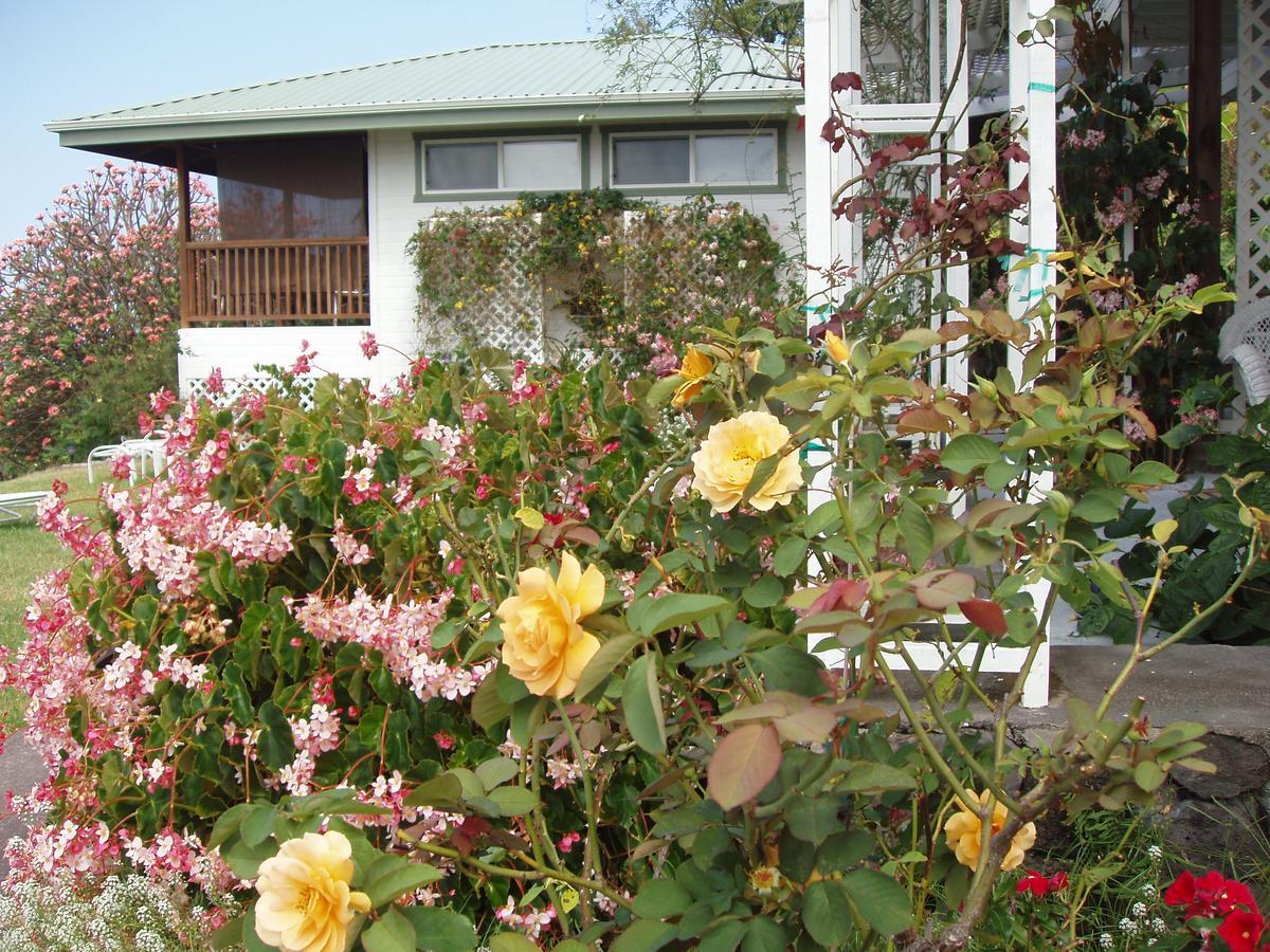 Belle Vue Kona Inc Bed and Breakfast Captain Cook Exteriör bild